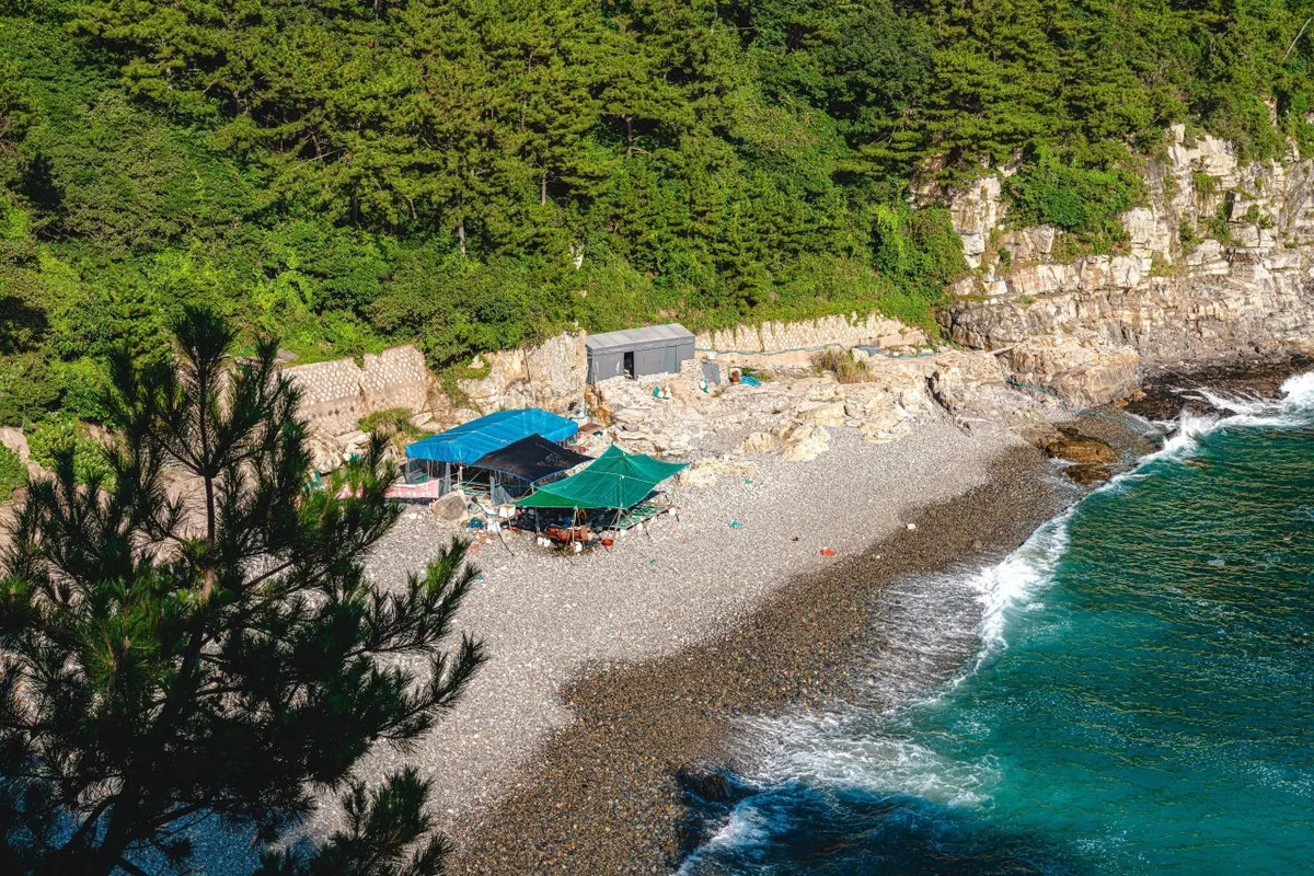 태종대 봄 축제 (출처 : 한국관광공사)