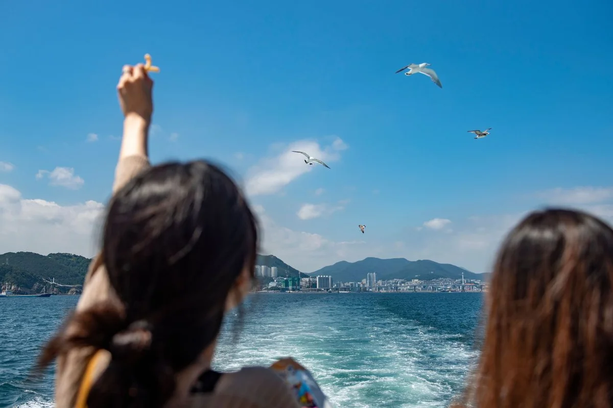 자갈치크루즈 - 자갈치펜션추천 여행