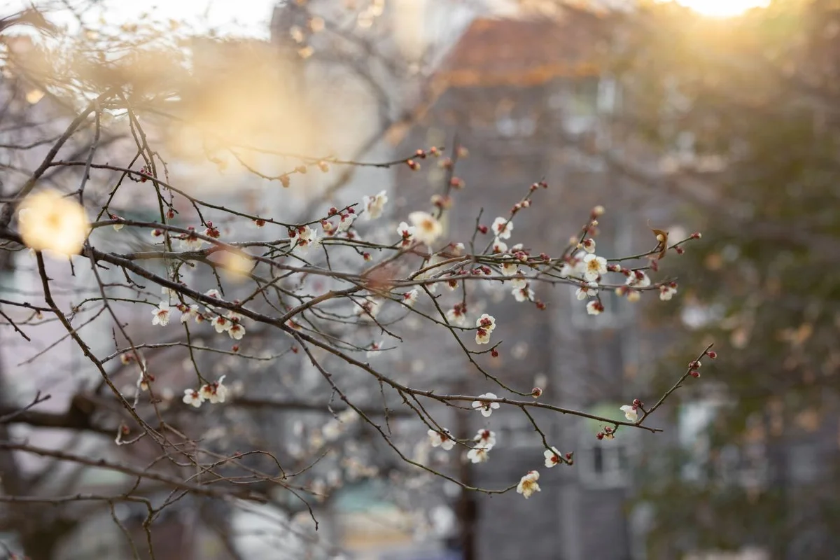 수영사적공원 - 수영구 여행