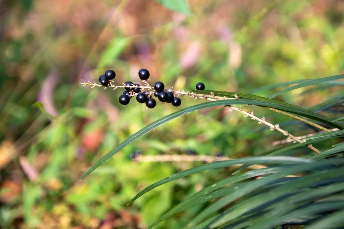 황령산 봉수대 - 부산 여행