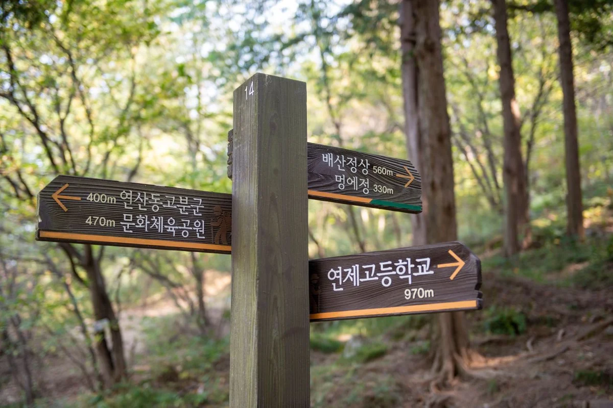 온천천시민공원 - 부산 여행