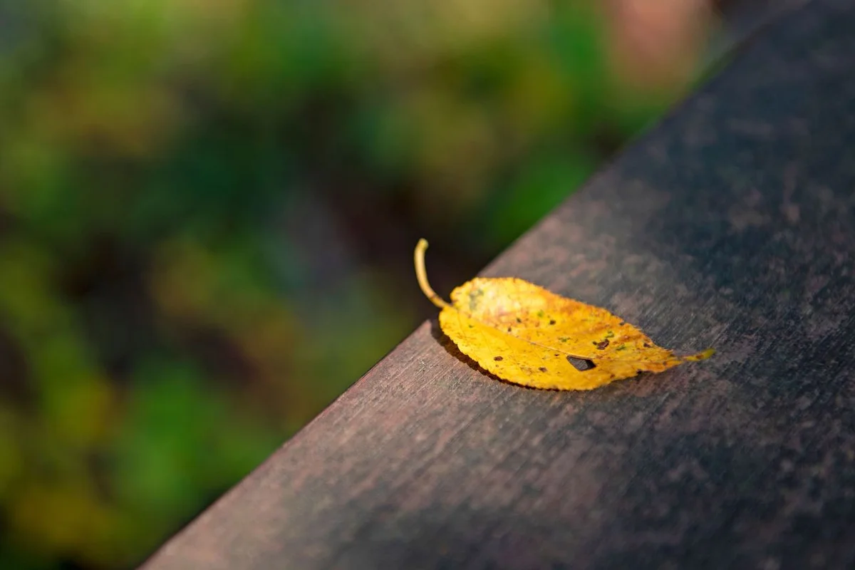 배산 - 부산 여행