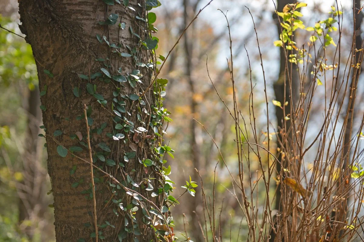연산동고분군 - 부산 여행