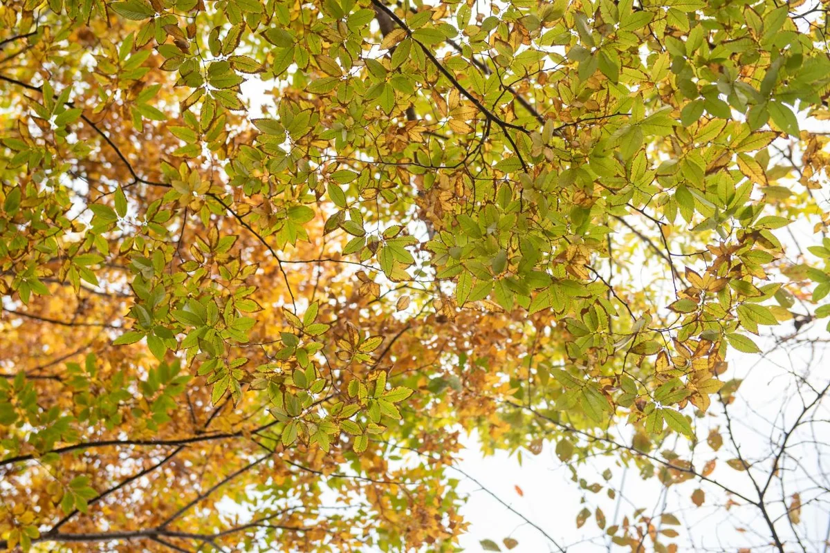 연제구 야경 명소 (출처 : 한국관광공사)