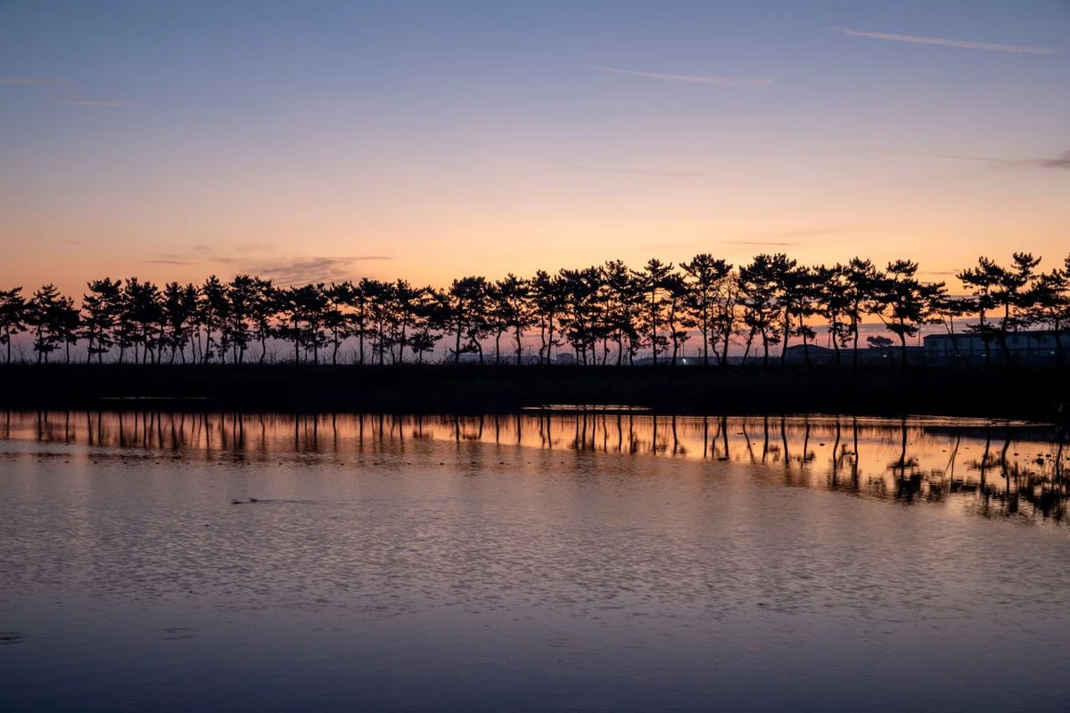 대한불교조계종 내소사 - 부안군 여행