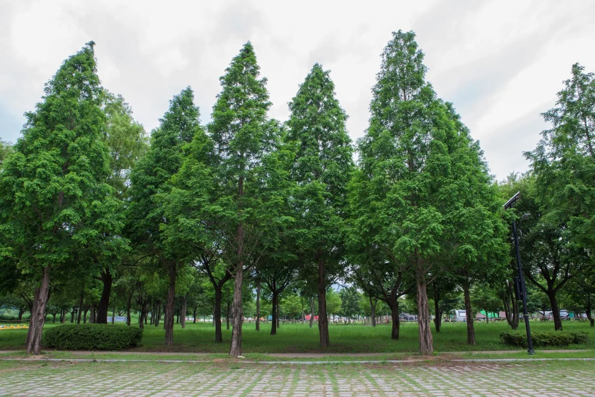 구미에코랜드 - 구미여행 여행