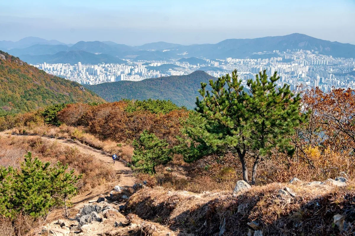 부산진구 놀거리 (출처 : 한국관광공사)