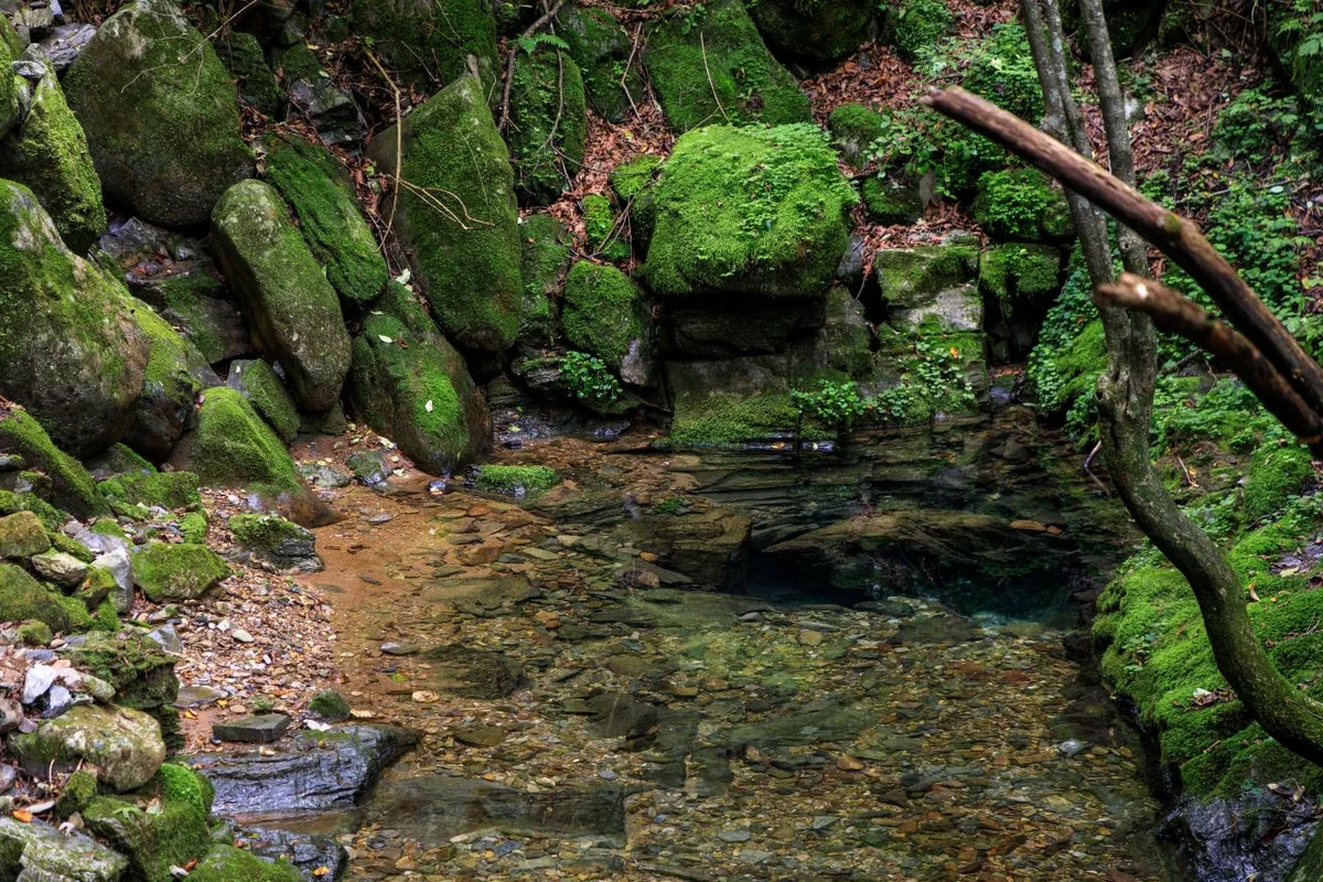 태백시 아이와 함께 (출처 : 한국관광공사)