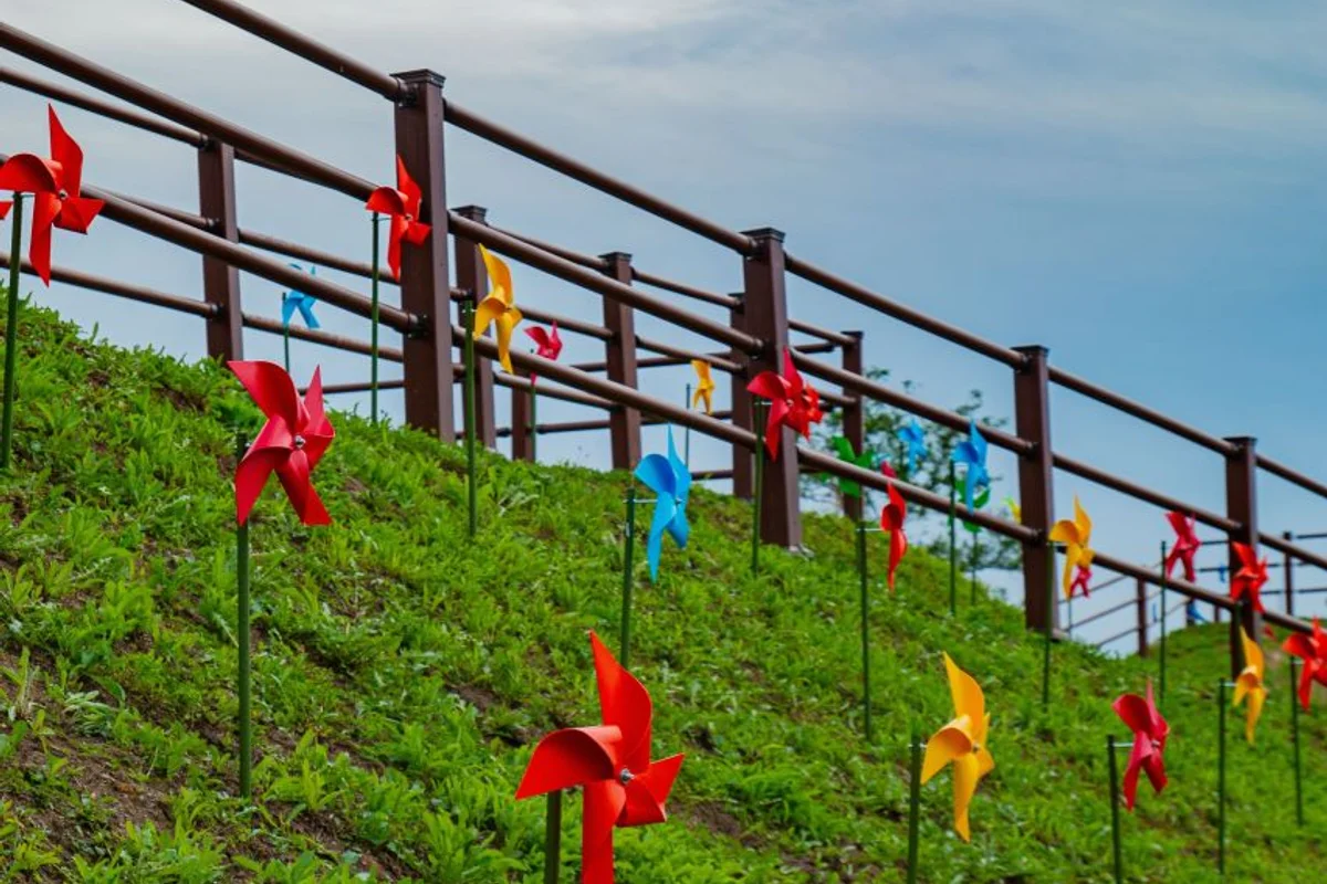 드림파크 야생화단지 - 인천서구 여행
