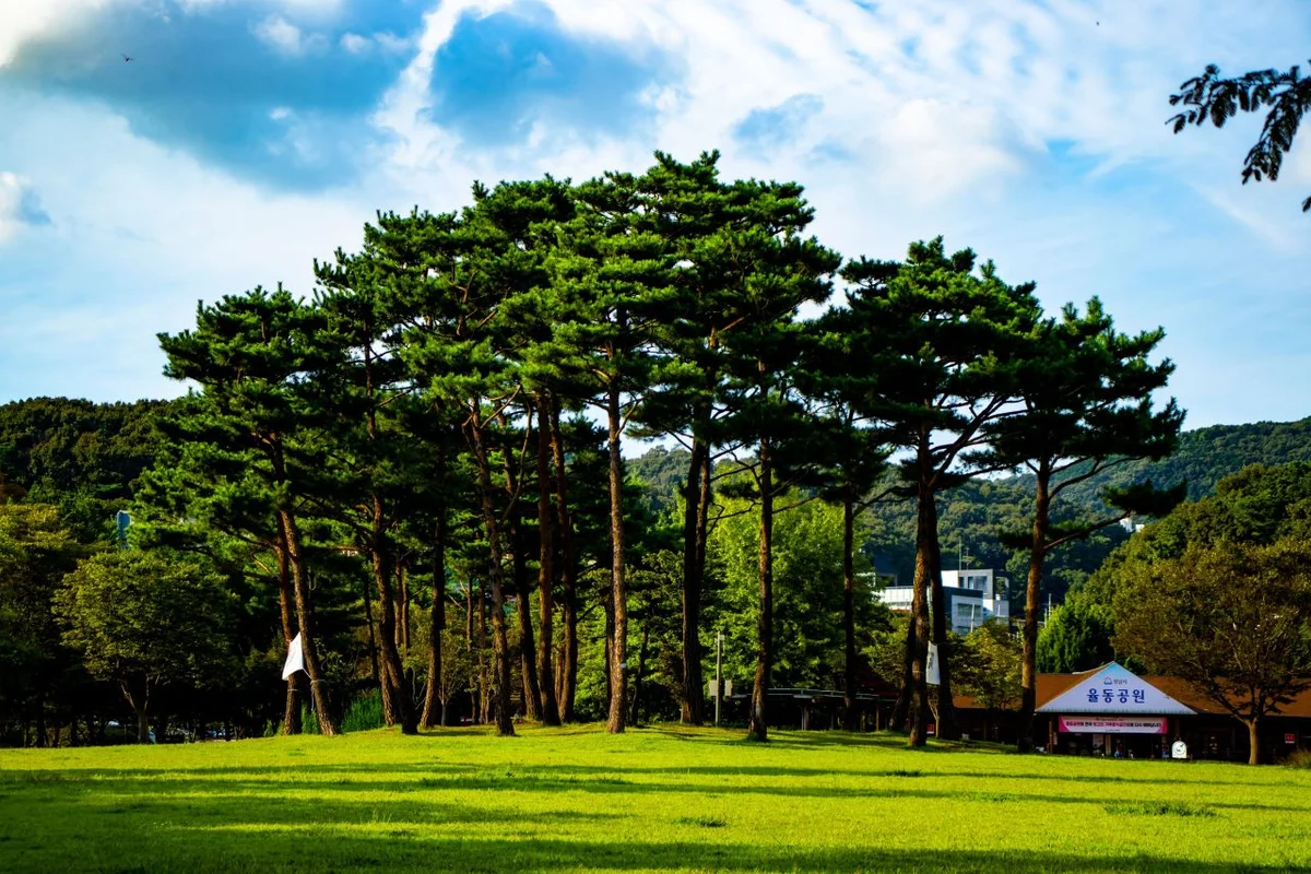 율동공원 - 성남여행 여행