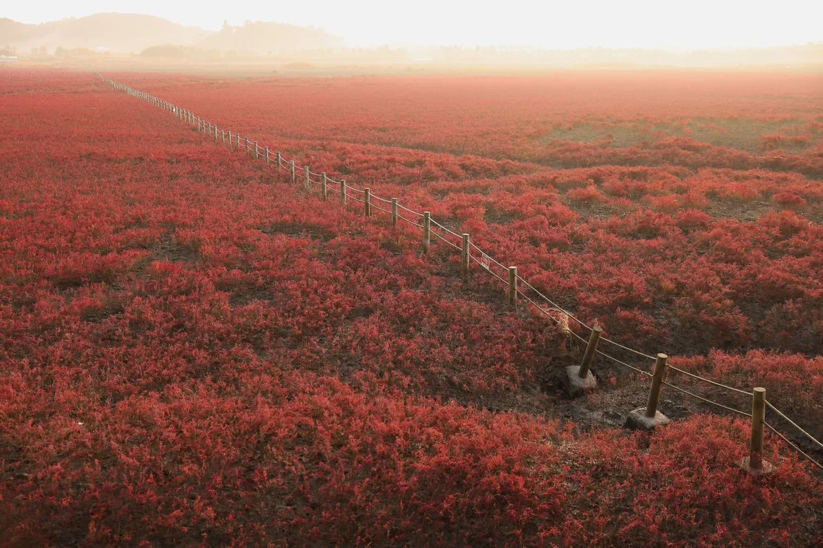 남동 식물원 (출처 : 한국관광공사)