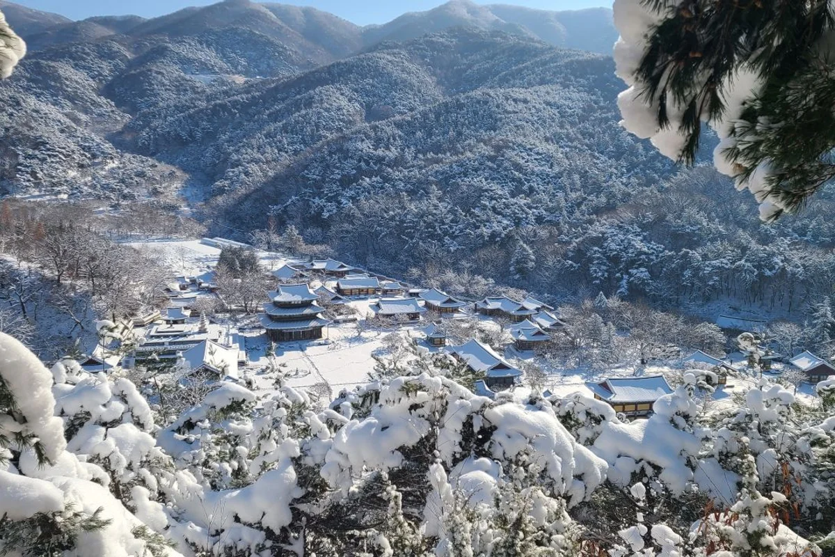 모악산 - 완주군여행 여행