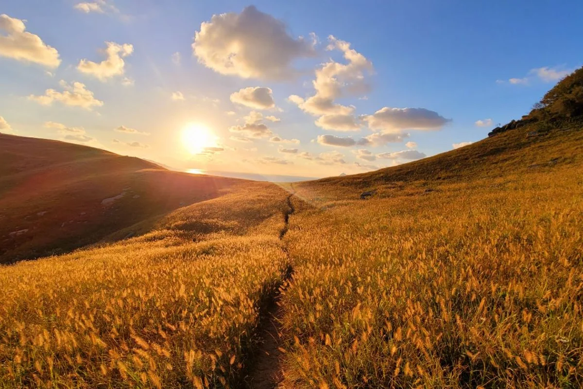 십리포해수욕장 - 옹진 여행