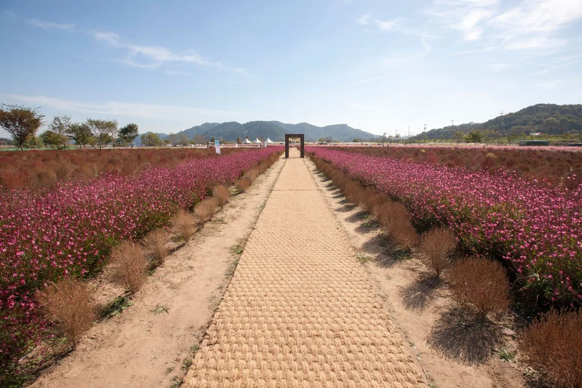 솥바위 - 의령군여행 여행