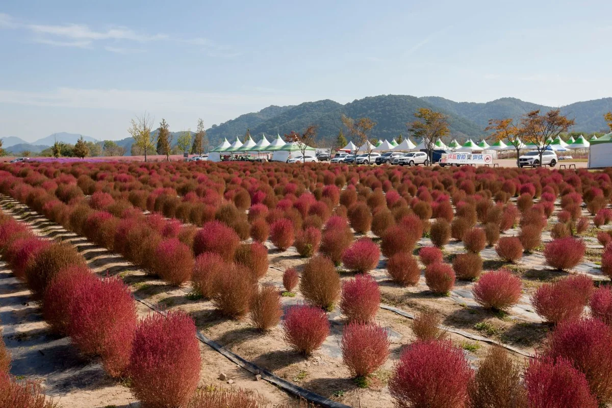 호국의병의숲 친수공원 - 의령군여행 여행