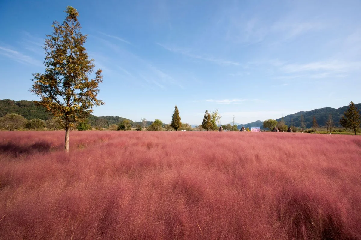 의령곤충생태학습관 - 의령군여행 여행