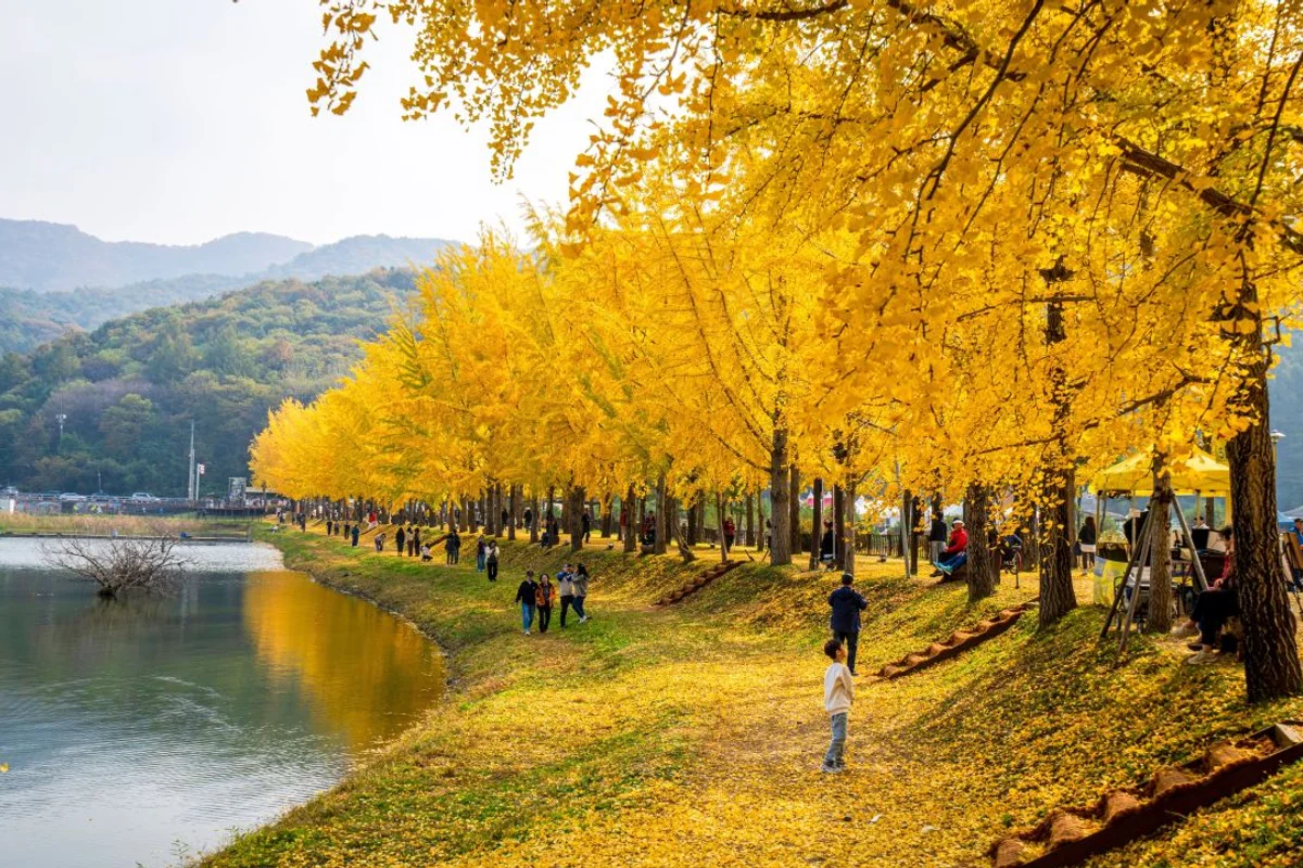 산막이옛길 - 괴산 여행