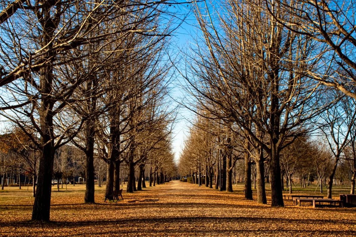 강천섬유원지 - 여주 여행 여행