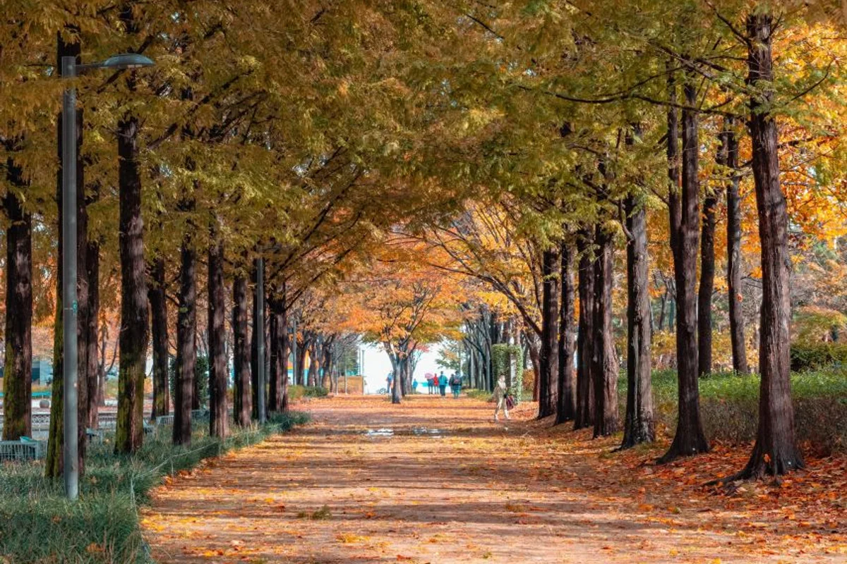 서울숲 - 4월여행 여행