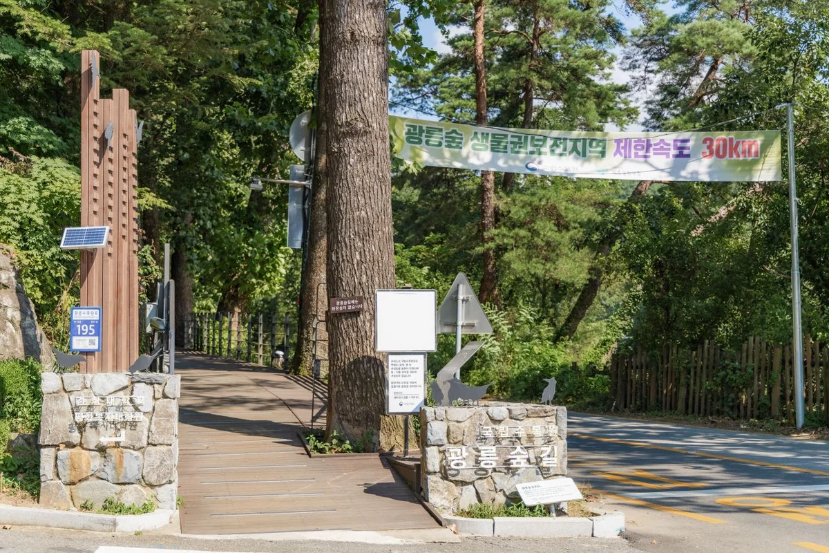 광릉숲 둘레길 - 남양주 여행