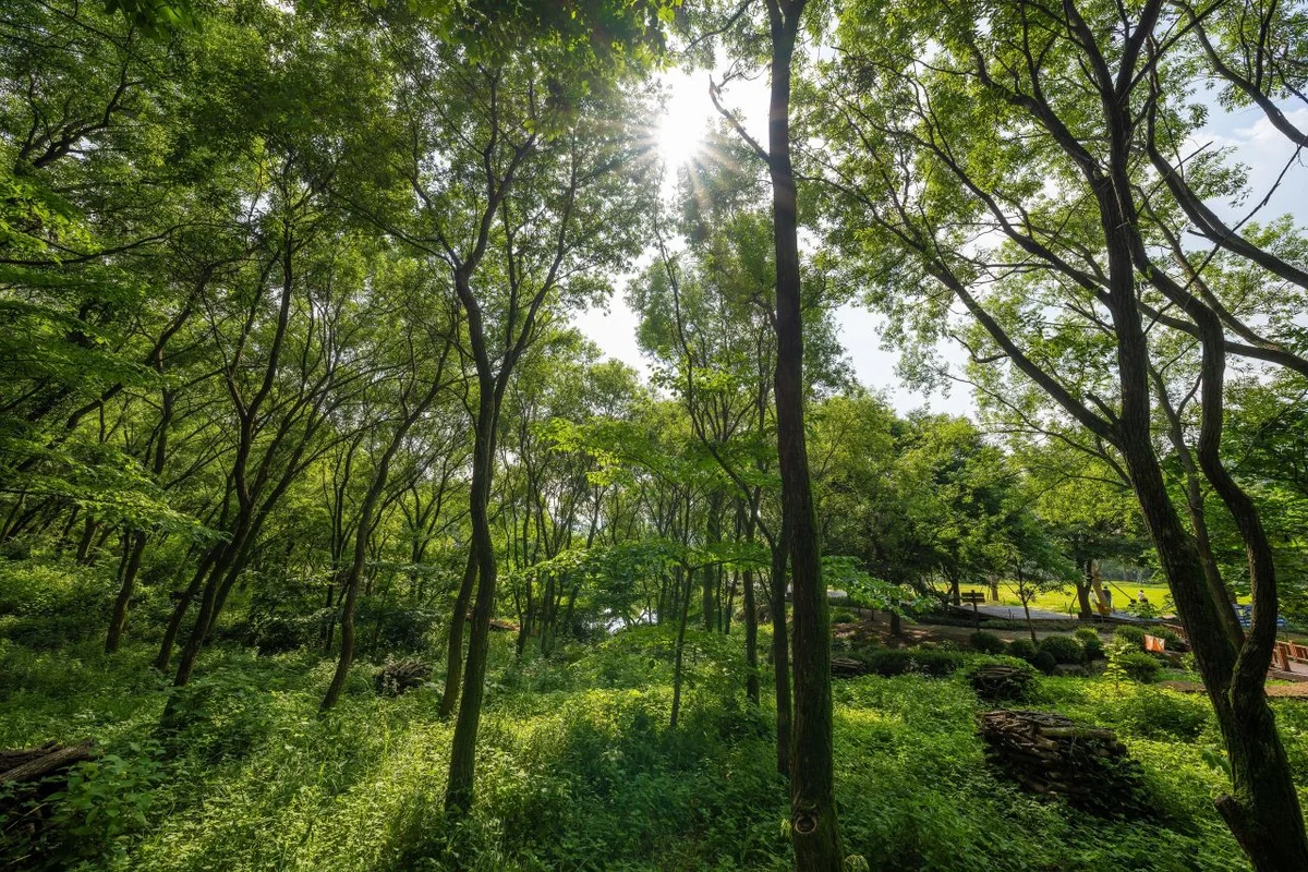 용인자연휴양림 - 용인여행 여행