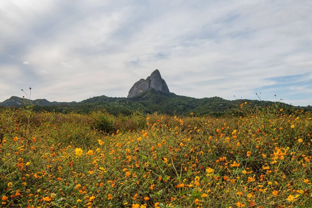 전북 코스모스 명소 (출처 : 한국관광공사)