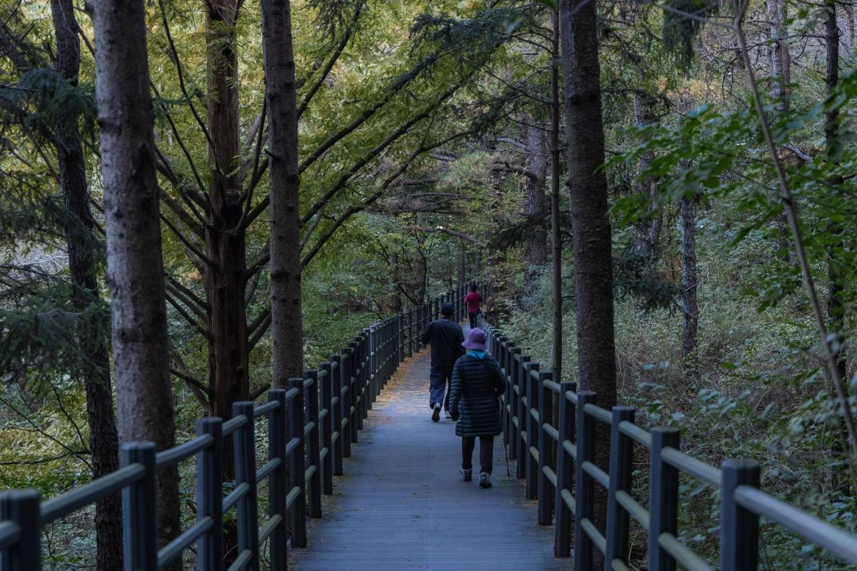 서대문구 자전거 도로의 시작, 안산자락길 - 서대문구 여행