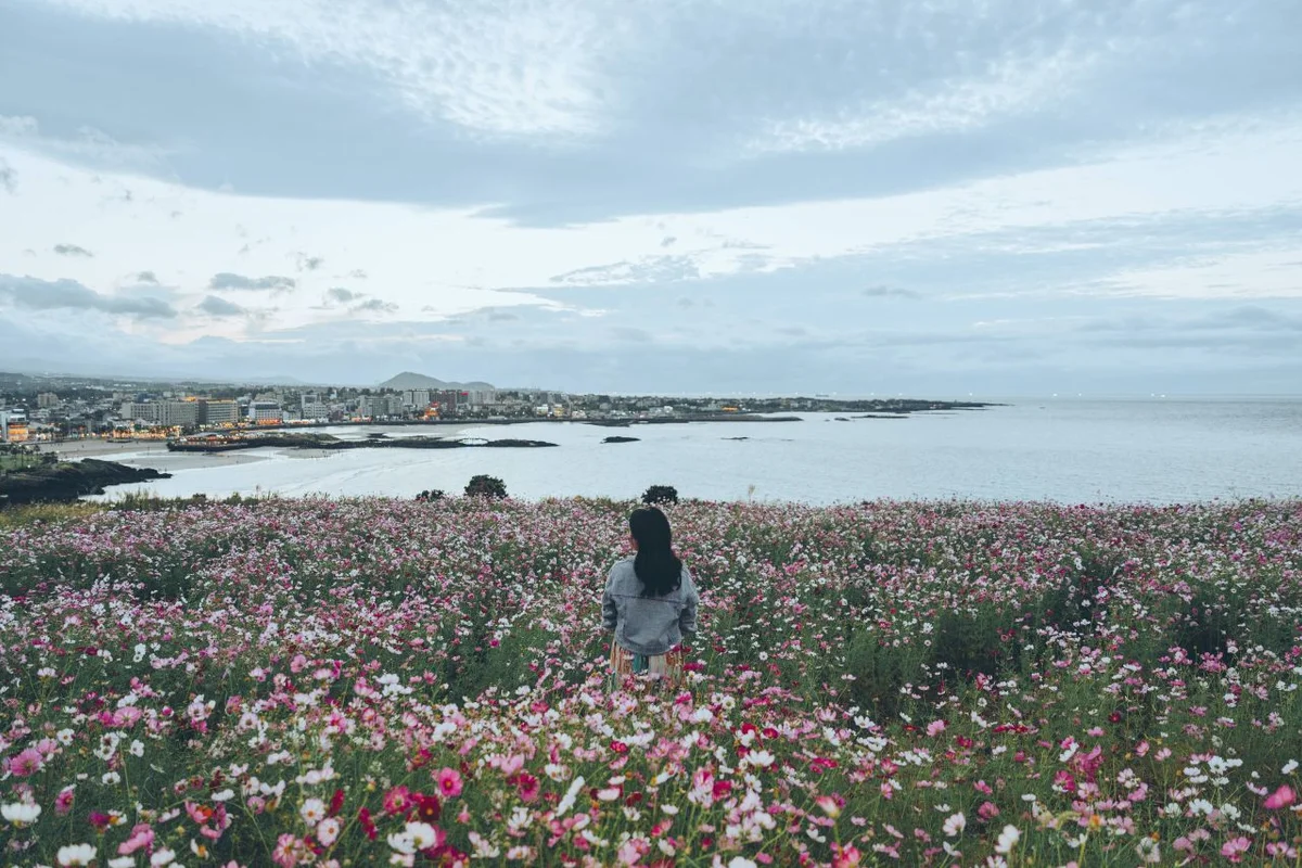 서우봉 - 제주여행 여행