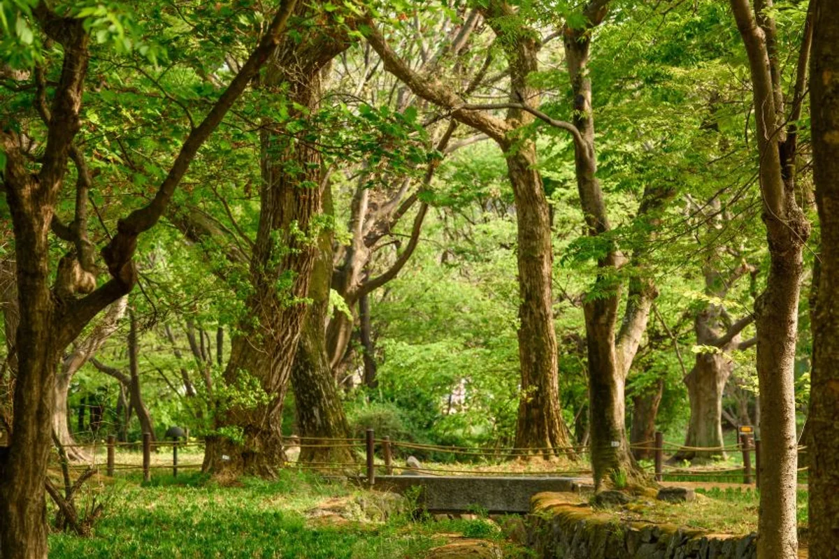 4월 서 가볼만한곳 (출처 : 한국관광공사)