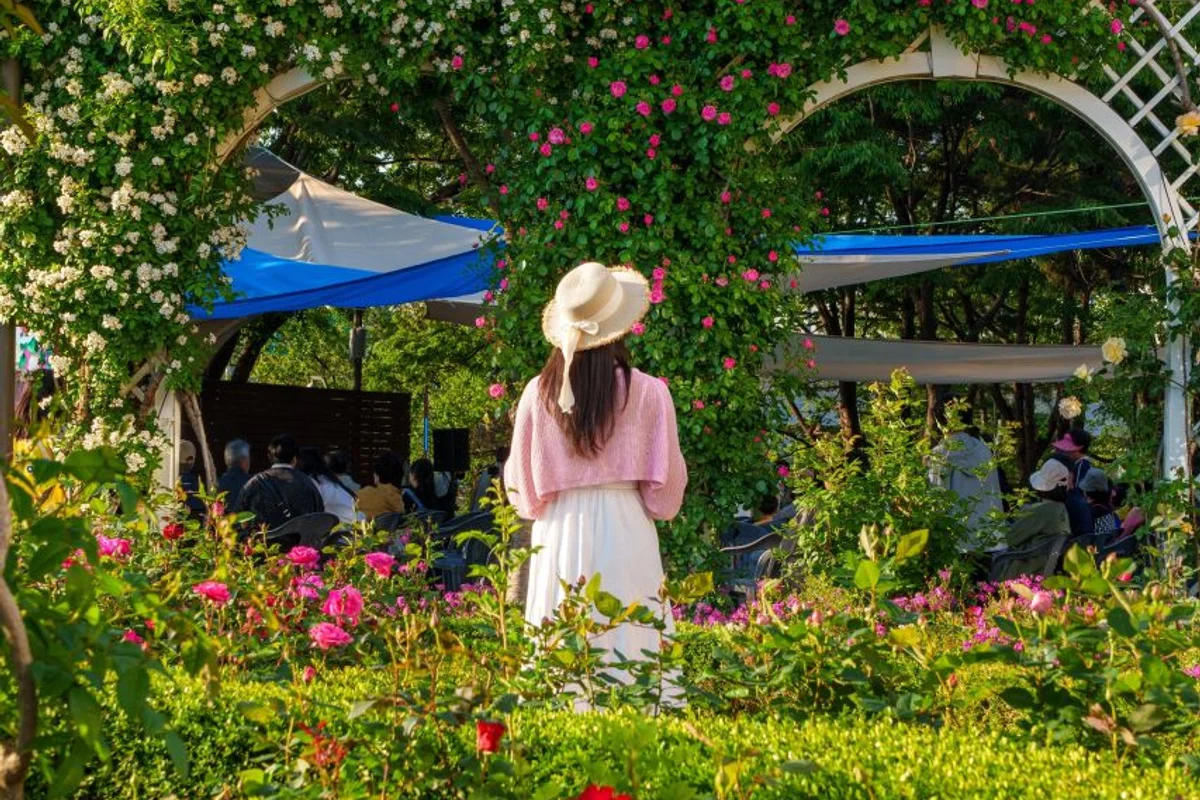 중랑장미공원 - 중랑구 여행