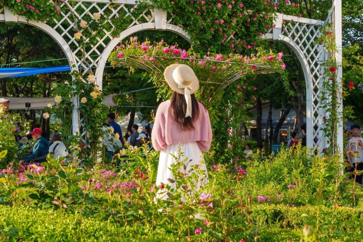 용마산과 용마폭포공원 - 중랑구 여행