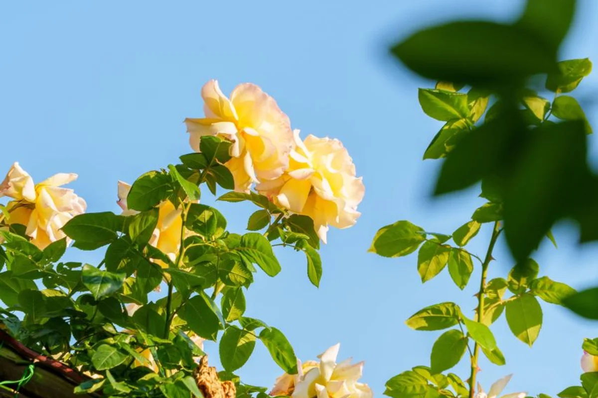 중랑가족캠핑장 - 중랑구 여행