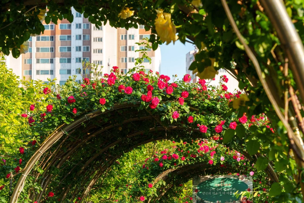 중랑구무장애나눔길 - 중랑구 여행