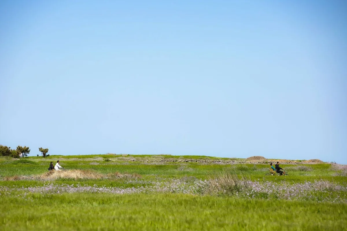 대구약령시한의약박물관 - 대구 여행 여행