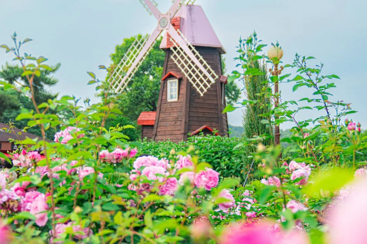 포시즌스가든 - 에버랜드 여행