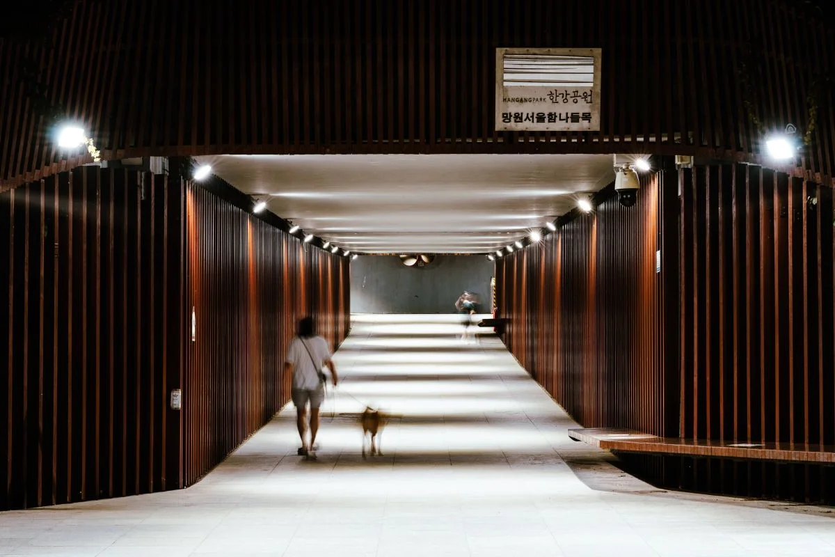 망원한강공원 - 합정 여행