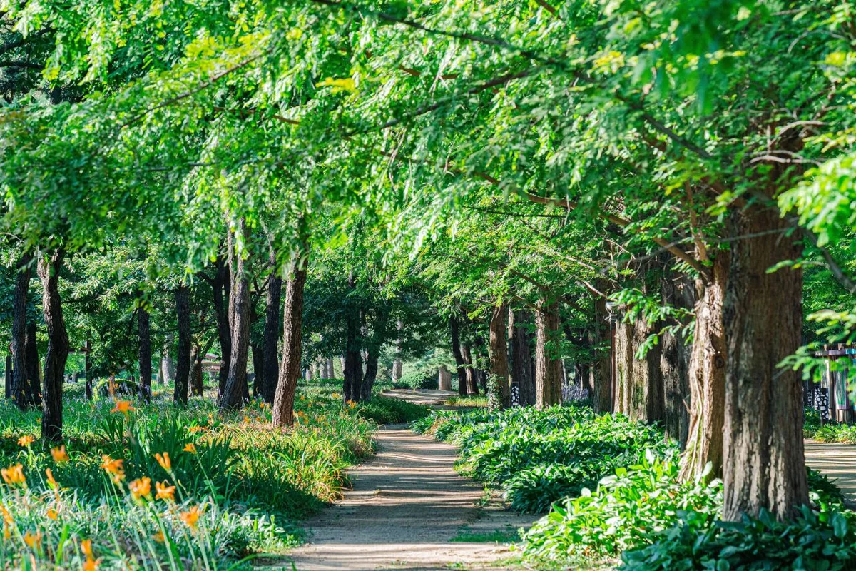 고양 정발산둘레길 - 고양시 여행
