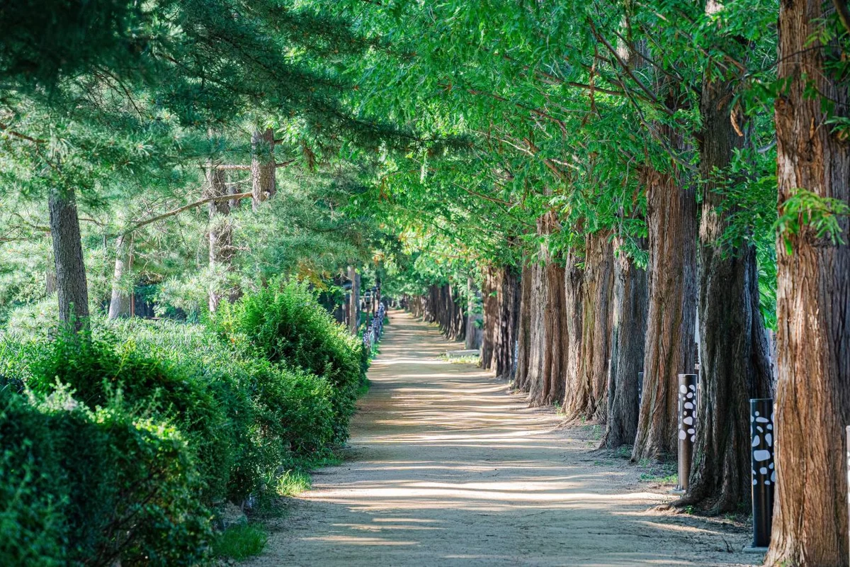 북한산둘레길11구간(효자길) - 고양시 여행