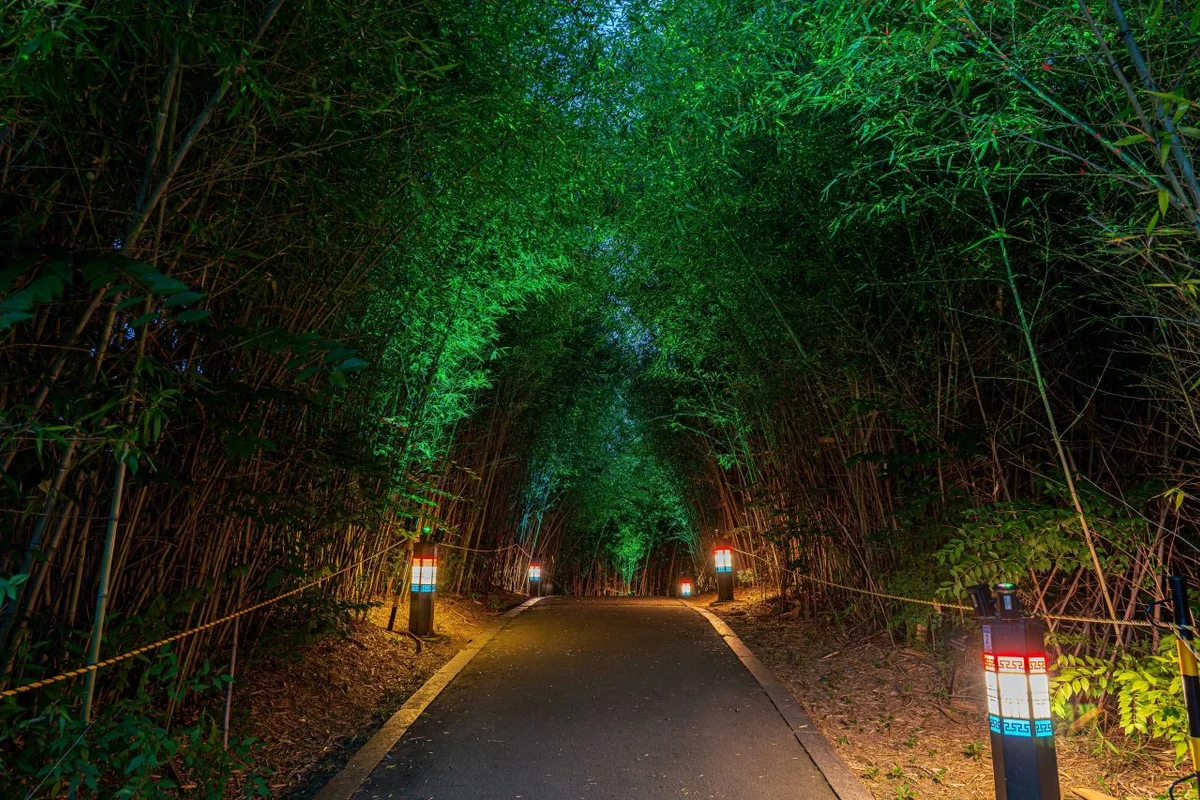 경기옛길의주길1길(벽제관길) - 고양시 여행