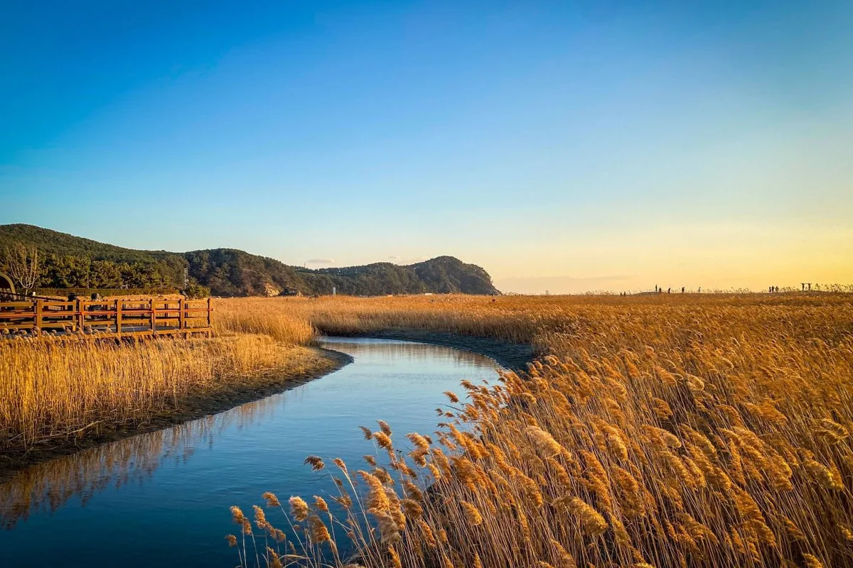 다대포해수욕장 - 사하 효도여행 여행