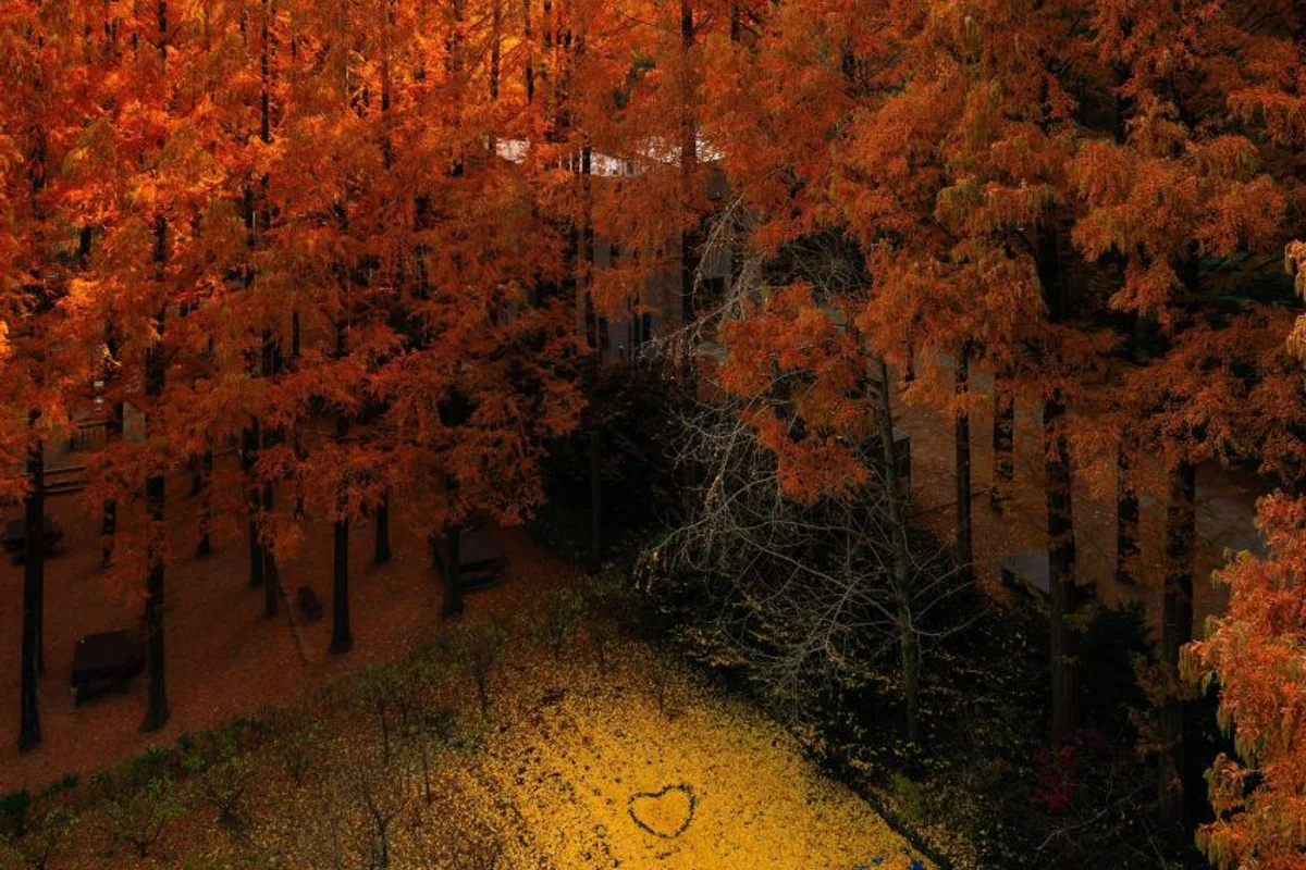 장태산 자연휴양림 - 서울 여행