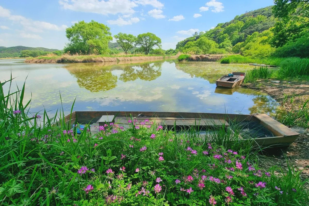 화왕산 - 창녕여행 여행