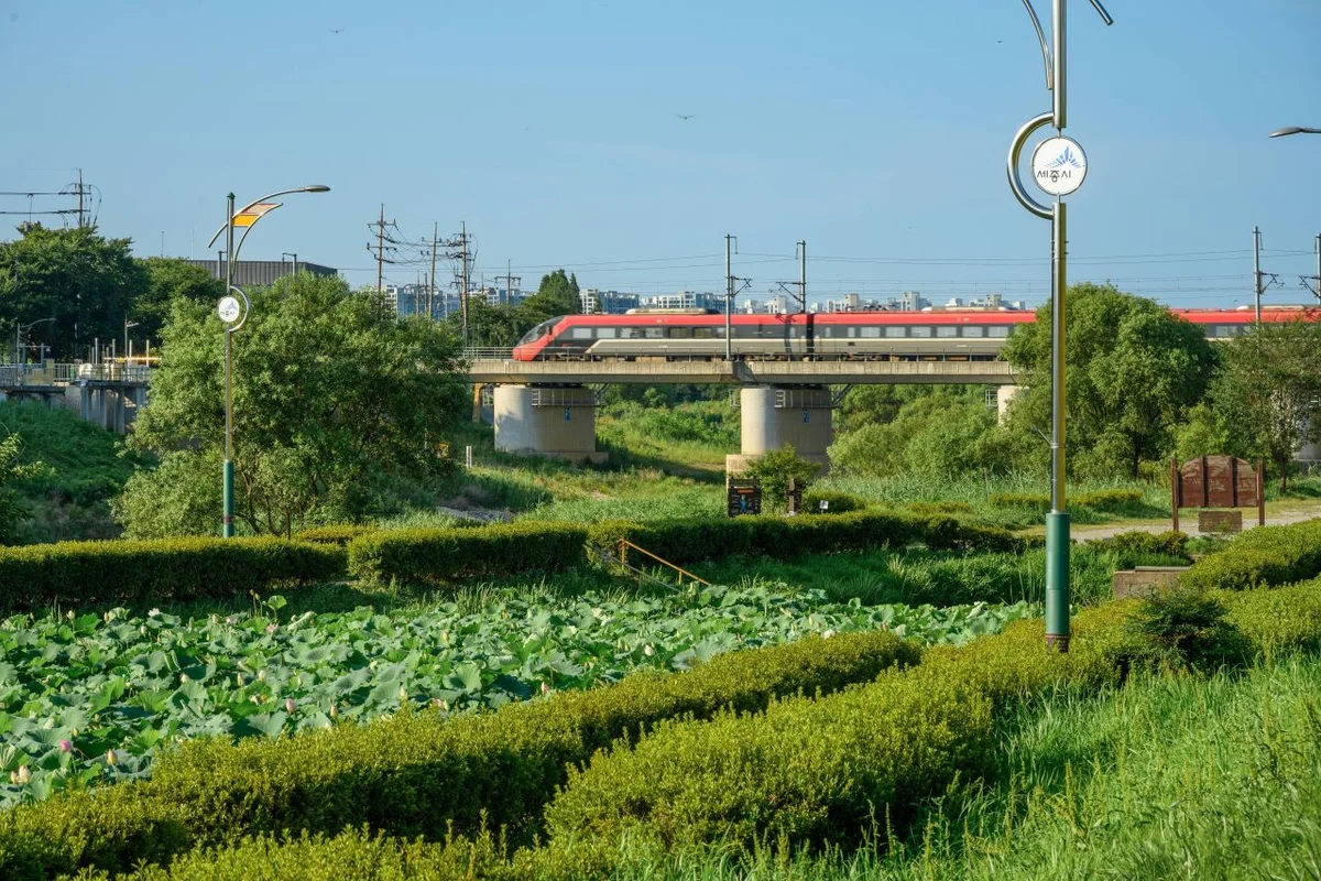 조천연꽃공원 - 베어트리파크 여행