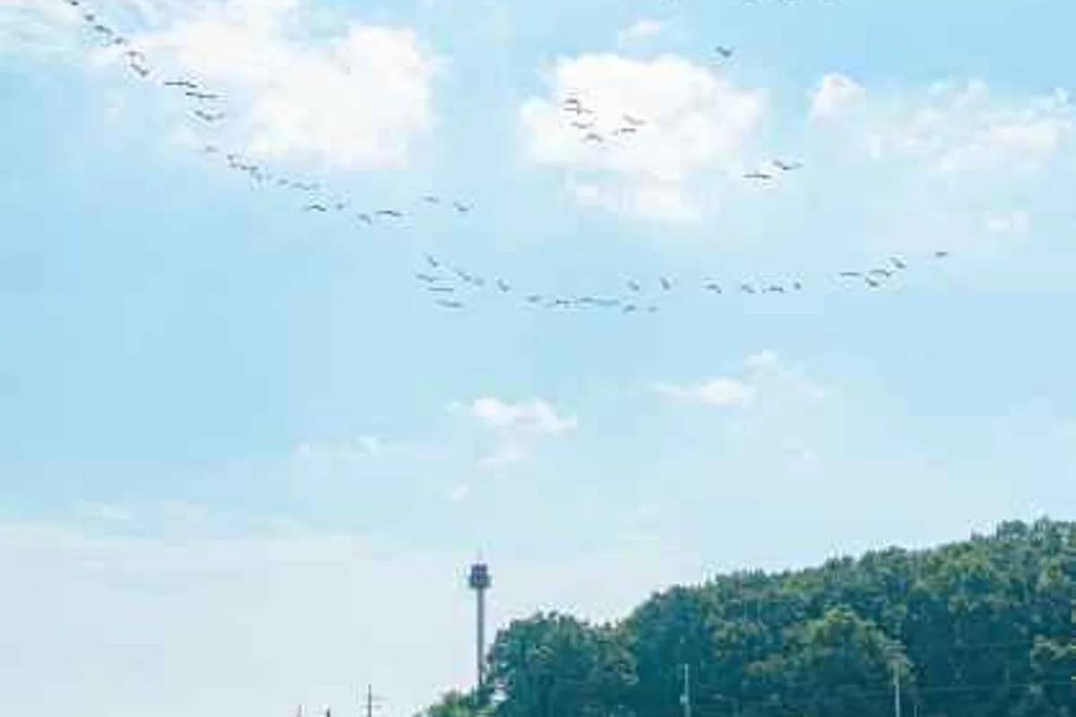 인천 공항 1 터미널 면세점 지도 (출처 : 한국관광공사)