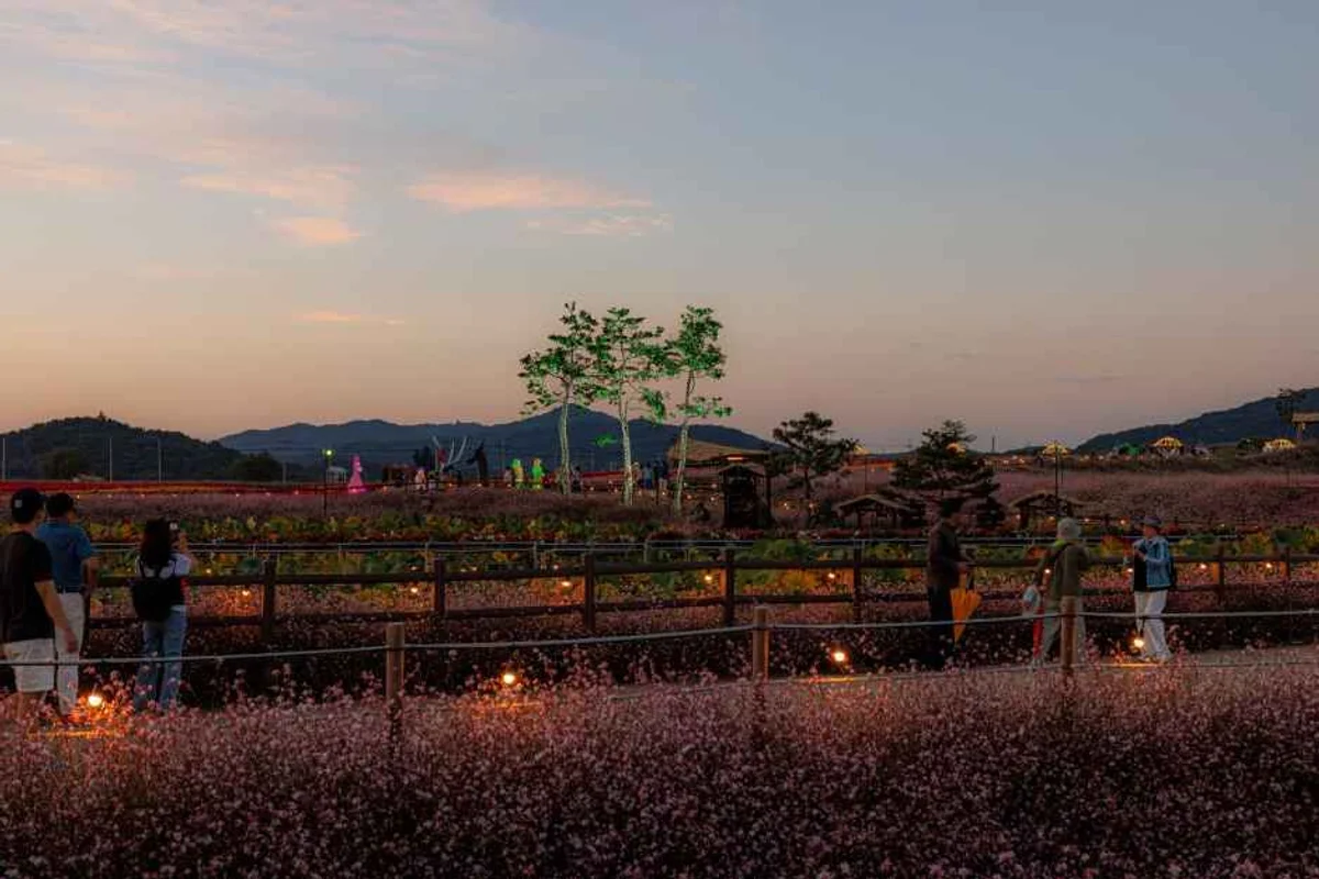 강진만생태공원 - 강진여행 여행