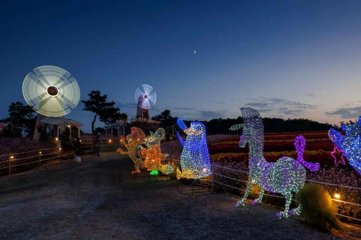 강진청자축제장 야경 - 강진여행 여행