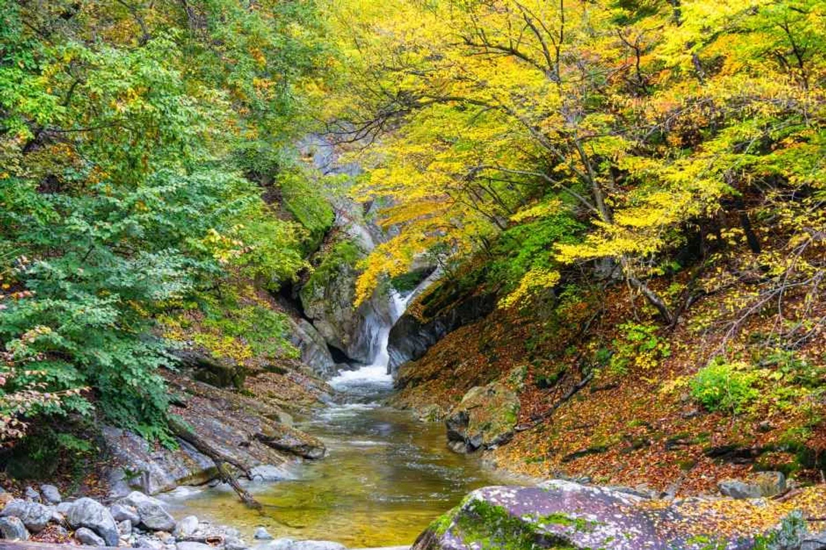 강원 계곡 피서지 (출처 : 한국관광공사)