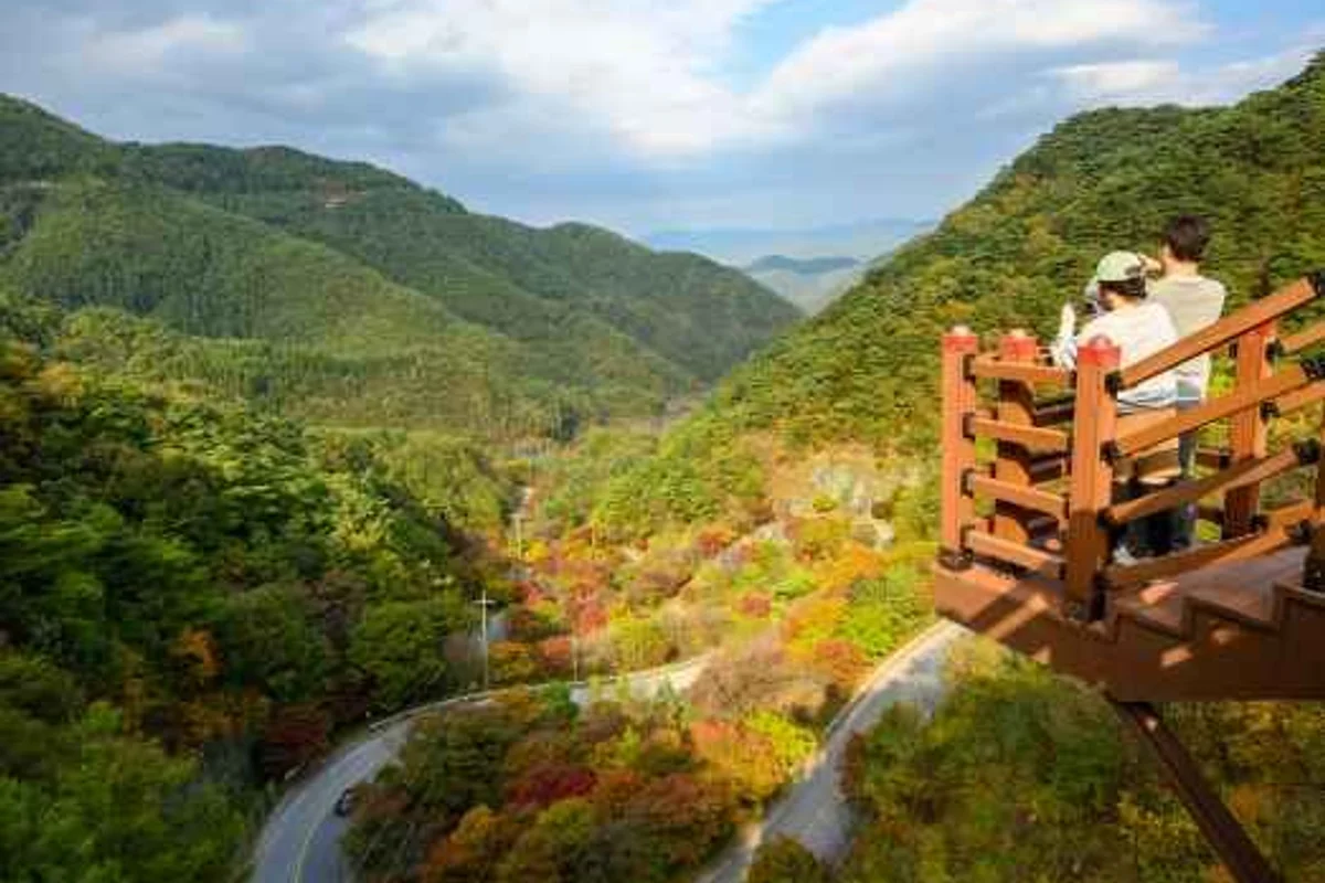 남해독일마을 드라이브 코스 (출처 : 한국관광공사)