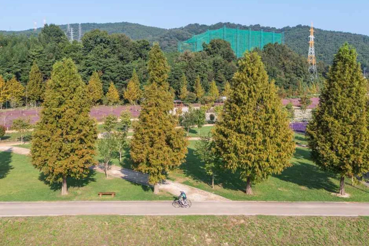 현대백화점 더현대 대구 - 대구 여행 여행