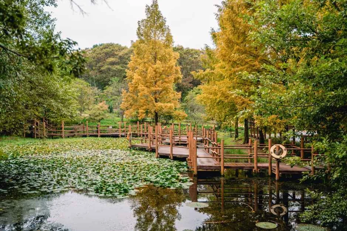 경상남도수목원 - 진주시 혼행 여행